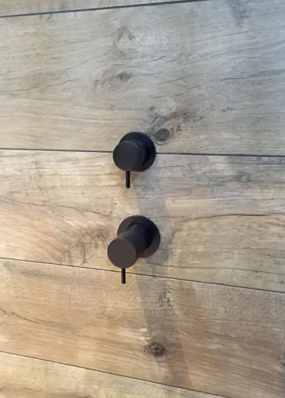 Waterevolution Flow built-in shower thermostat with 2 outlets, matte black with round rosette 1208778072