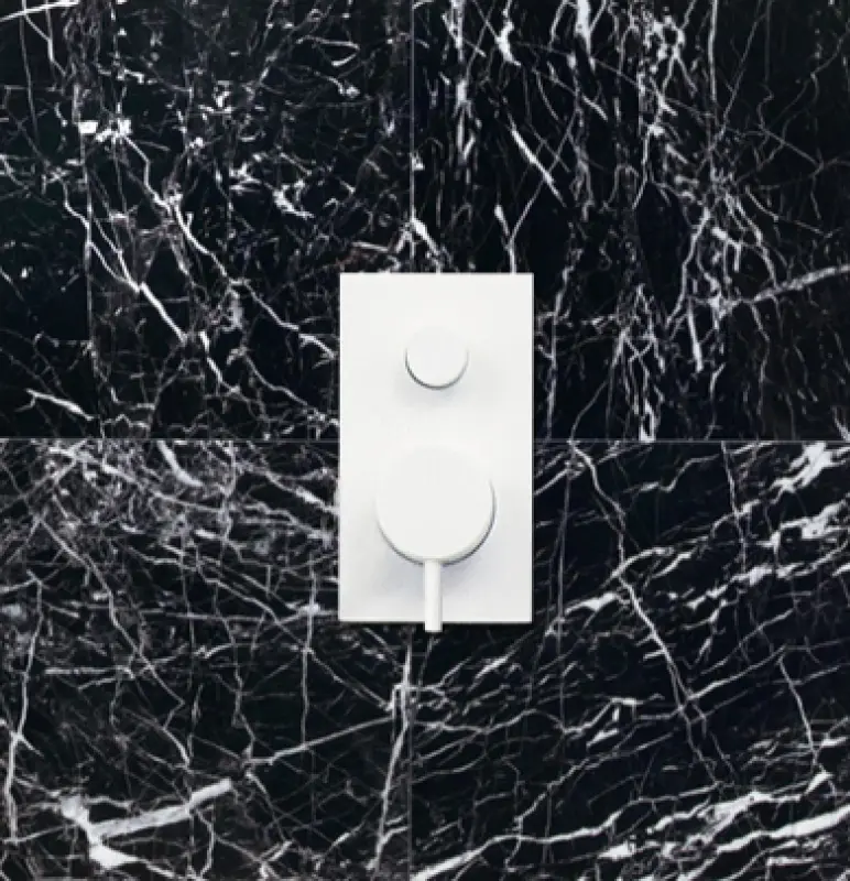 Waterevolution Flow Built-in Shower Thermostat with 2 outlets matt white T132TBBBR with TEC box