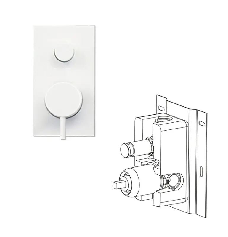 Waterevolution Flow Built-in Shower Thermostat with 2 outlets matt white T132TBBBR with TEC box