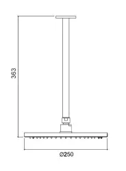 Waterevolution Flow head shower 250mm with ceiling connection matt black T164225PR