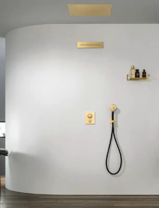 Waterevolution Flow Consealed headshower Stainless steel T1641IE kloon 07-08-2018 03:36:05 (kloon) (kloon) (kloon) (kloon) (kloon)