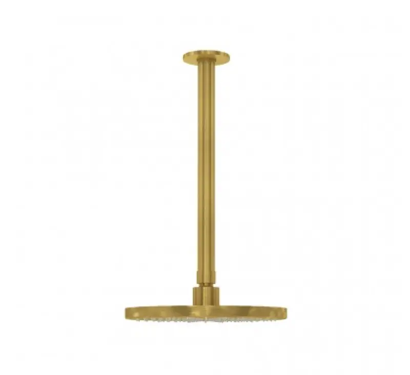 Waterevolution Flow overhead shower 250 mm with ceiling connection, brushed brass T164225LE
