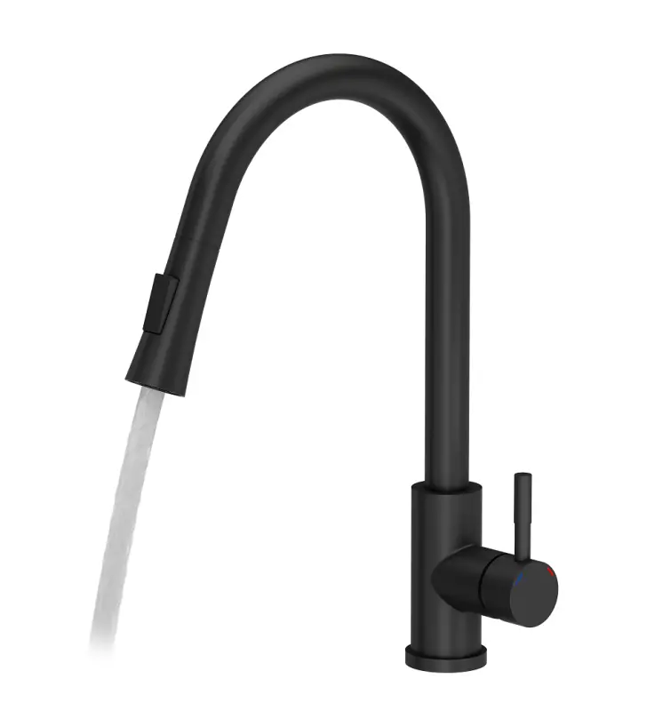 Quadri Leeds kitchen mixer tap with pull-out shower with 2 settings matt black 1208955907