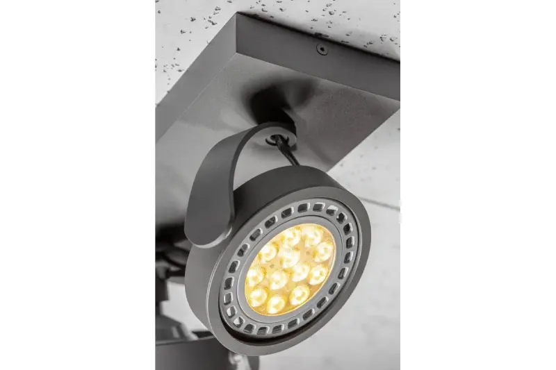 Decor Wally ceiling lamp or wall lamp with adjustable head, anthracite, 2 bulbs 4304