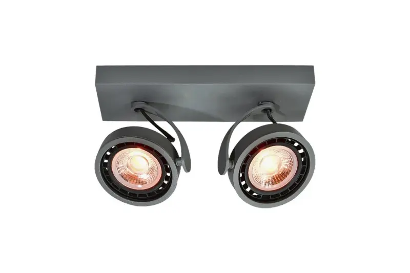 Decor Wally ceiling lamp or wall lamp with adjustable head, anthracite, 2 bulbs 4304