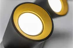 Decor Elli modern black ceiling lamp with 2 light sources 4557