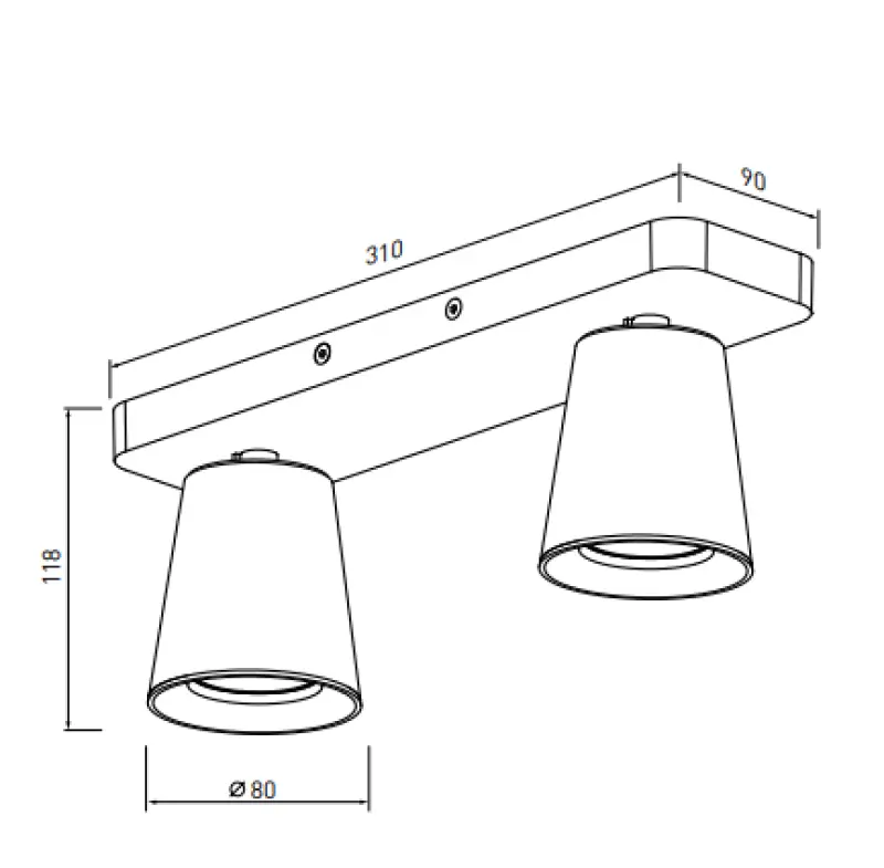 Decor Elli modern black ceiling lamp with 2 light sources 4557