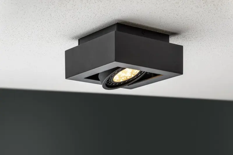 Decor Loid functional black ceiling lamp with 1 bulb 4687