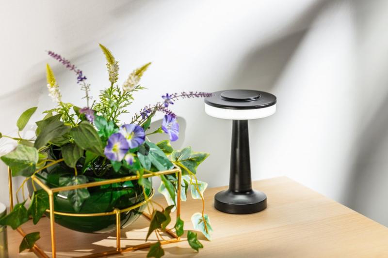 Decor Desk lamp Monum 3W 200lm DC 5V 1A 3000 K 3 deg. Dimmable battery 1800 mAh black 1208962504
