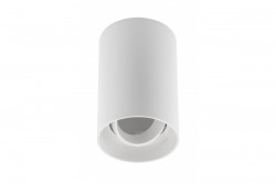 Decor Ceiling light fixture RESTO PC φ80x125mm IP20 max 20W round white 1208963986