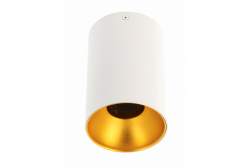 Decor Ceiling fixture TENSA alum. 96x140 IP20 GU10 round white 1208964019