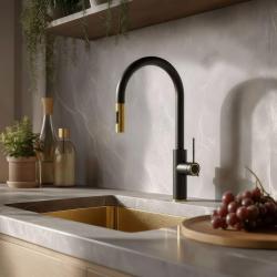 Quadri Retford Kitchen Faucet Black with Gold Finish and Pull-Out Spout with Spray Mode 1208967677